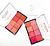 Paleta de Blusn Femme Paris ( Cor Sortido )